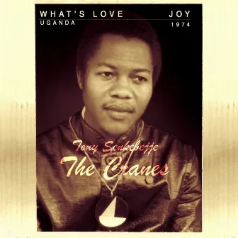 What's Love/Joy by The Cranes