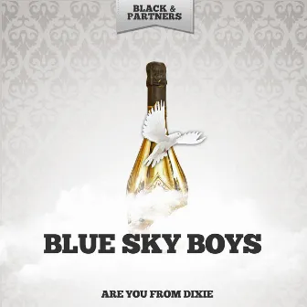 Are You From Dixie by The Blue Sky Boys