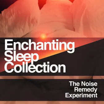 Enchanting Sleep Collection by Unknown Artist