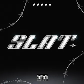 SLAT by Paq