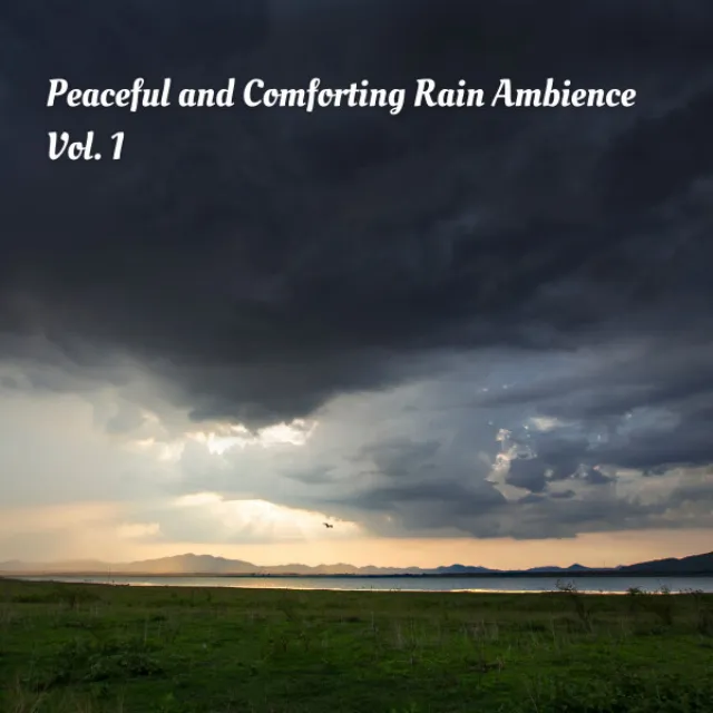 Peaceful and Comforting Rain Ambience Vol. 1