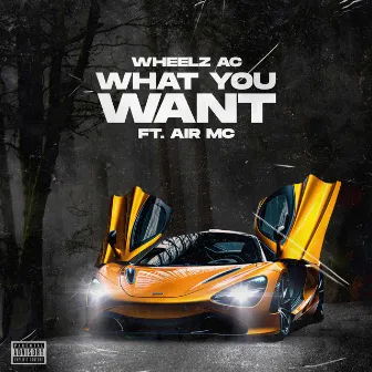 What You Want by Wheelz AC