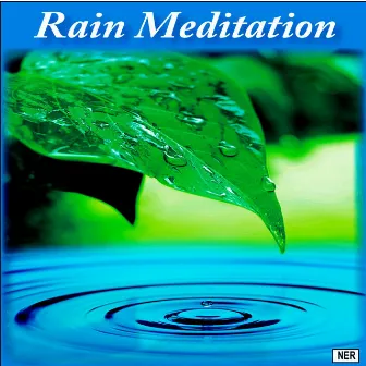 Rain Meditation by Rain Meditation