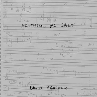 Faithful as Salt by David Peacock