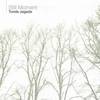 Still Moment by Tunde Jegede