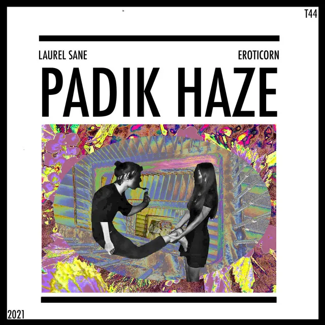 PADIK HAZE