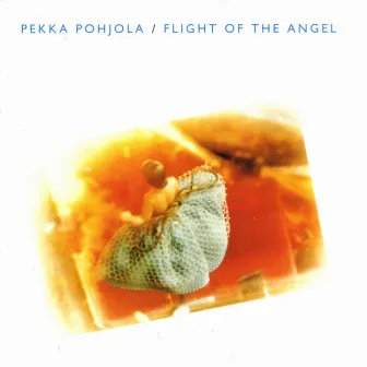 Flight of the Angel (Re-Issue) by Pekka Pohjola