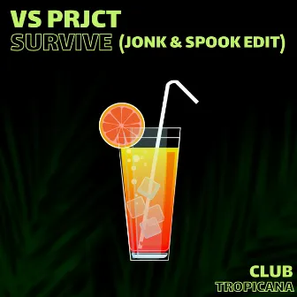 Survive (Jonk & Spook Radio Edit) by VS Prjct