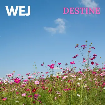 Destiné by Wej