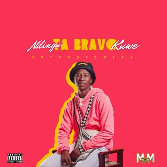 Ndingu Ta Bravo Kuwe by Bravo Le Roux