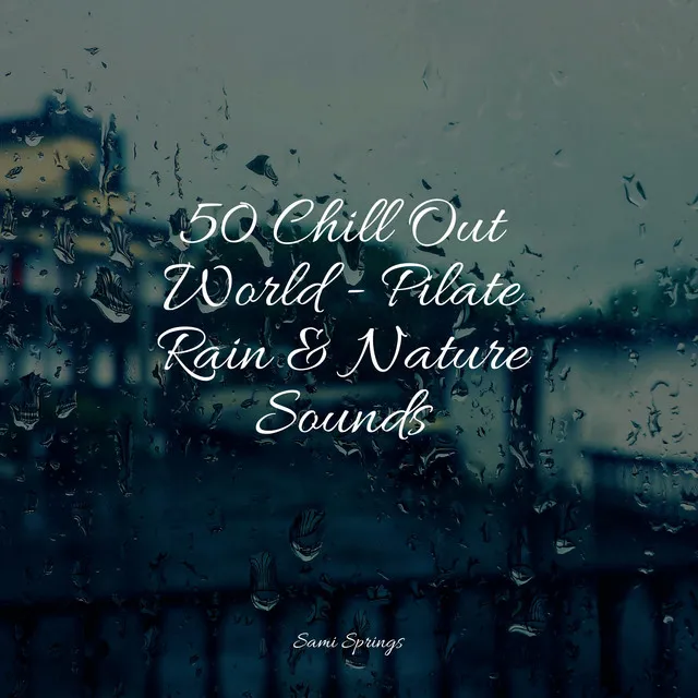 50 Chill Out World - Pilate Rain & Nature Sounds