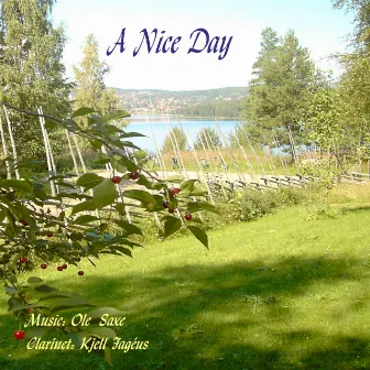 A Nice Day by Ole Saxe