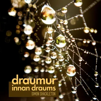 Draumur Innan Draums by Simon Shackleton