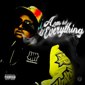 A Little Bit Of Everything by Fat Dom