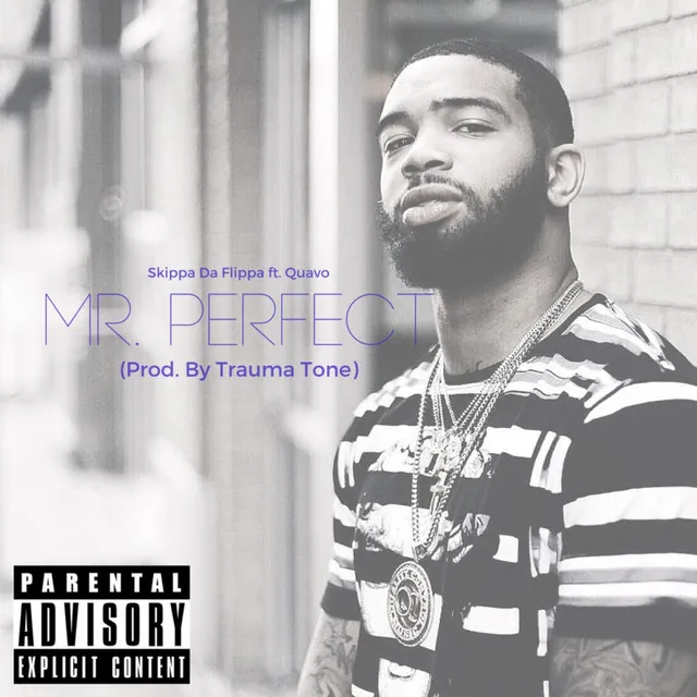 Mr. Perfect (feat. Quavo)