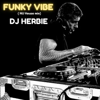 Funky Vibe (Nu House Mix) by DJ Herbie