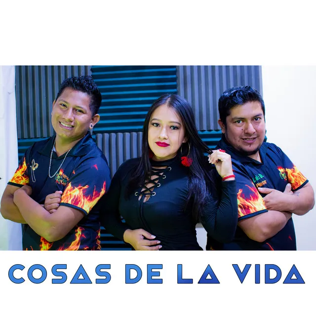 Cosas de la vida - Remix