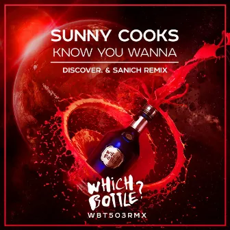 Know You Wanna (DiscoVer. & Sanich Remix) by Sunny Cooks