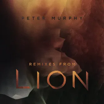 Remixes from Lion by Youth