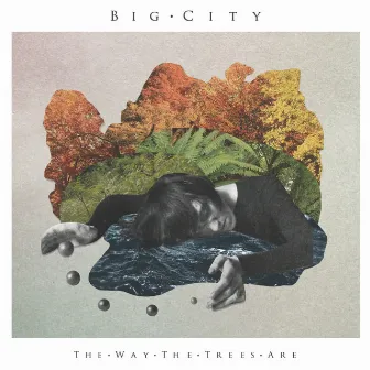 The Way the Trees Are by Big City