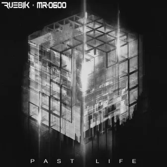 Past Life by Ruebik