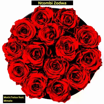 Ntombi Zodwa by Motictutsa