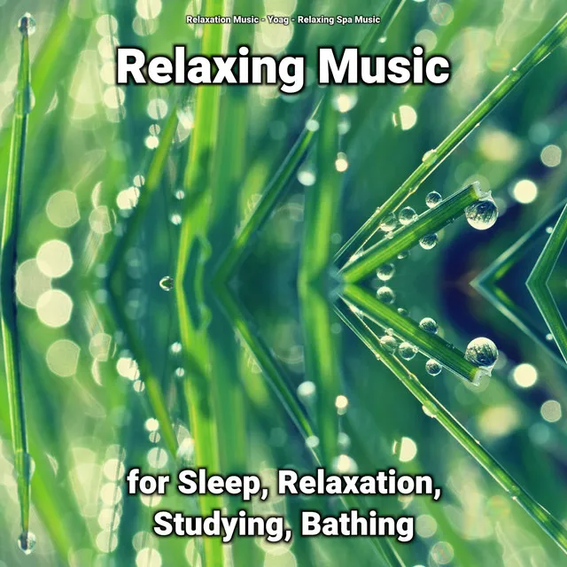 Relaxing Music for Sleep and Relaxation Pt. 8