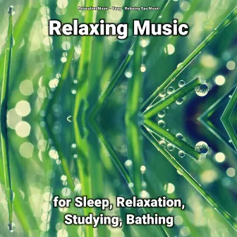 Relaxing Music for Sleep, Relaxation, Studying, Bathing by Yoa_G