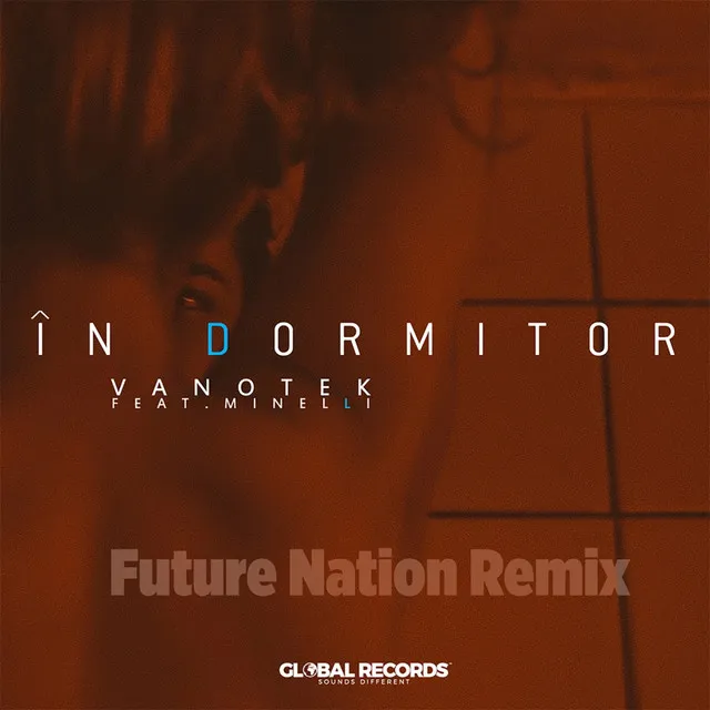 In Dormitor - Future Nation Remix