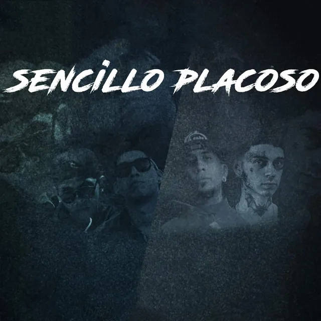 Sencillo Placoso