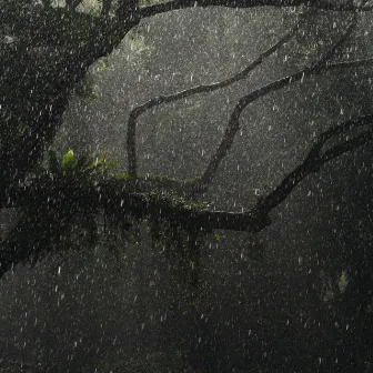 Intense Hail on Sheet Metal Roof for Sleeping by HD Nature Sound Library