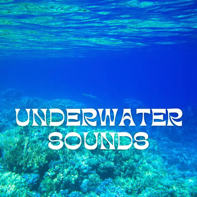 Submarine Sounds