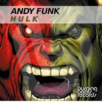 Hulk by Andy Funk