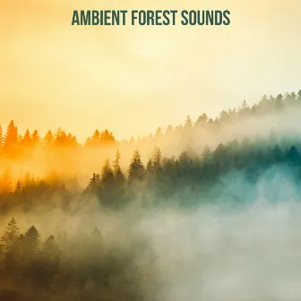 Ambient Forest Sounds by Nature Chillout