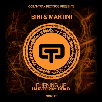 Burning Up (Harvee 2021 Remix) by Harvee