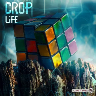 Life by Crop