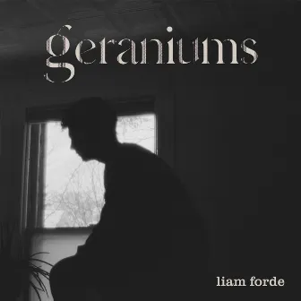 Geraniums by Liam Forde