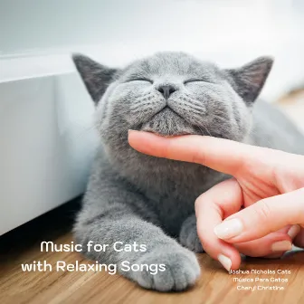 Music for Cats with Relaxing Songs by Cheryl Christine