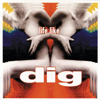 Life Like by Dig