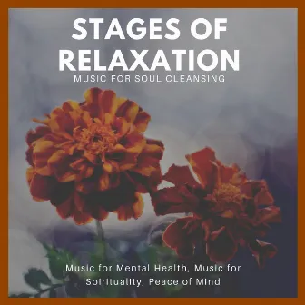 Stages Of Relaxation (Music For Soul Cleansing, Music For Mental Health, Music For Spirituality, Peace Of Mind) by Nirvana Cafe Ambient Healing Meditation Sounds