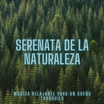 Serenata De La Naturaleza: Música Relajante Para Un Sueño Tranquilo by 