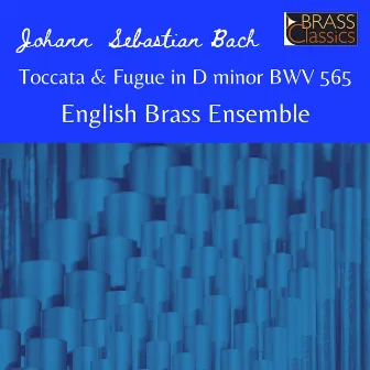 Toccata & Fugue in D minor BWV 565 (Instrumental) by Paul Archibald