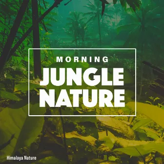 Morning Jungle Nature by Himalaya Nature