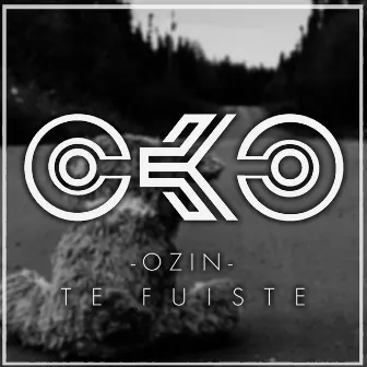 Te Fuiste by Ozin