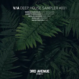 Deep House Sampler 001 by Nicolas Navarro