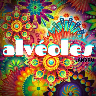 Alvéoles by Landru