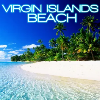 Virgin Islands Beach by Unknown Artist