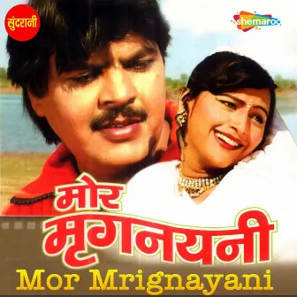 Mor Mrignayani by Unknown Artist