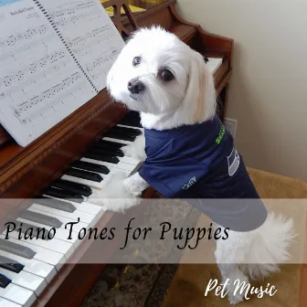 Pet Music: Piano Tones for Puppies by Good Dog Music