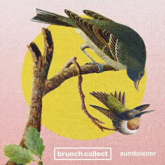 Sundowner by Brunch Collect